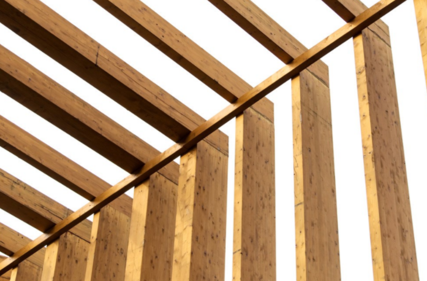 Collez le contreplaqué structurel en bois WBP pour le coffrage